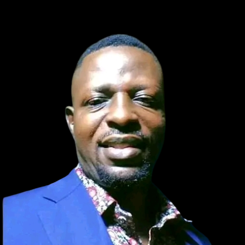 Olufemi  P. profile photo