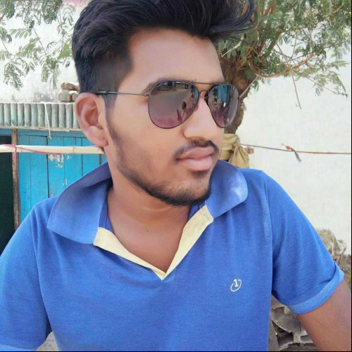 Dinesh T. profile photo