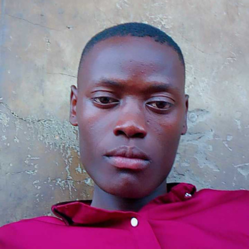 Rashid K. profile photo