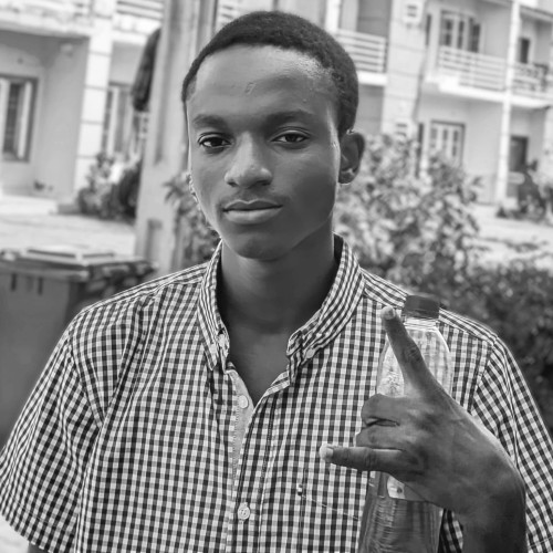 Amir L. profile photo