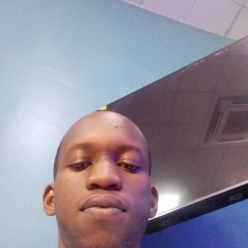 David k. profile photo