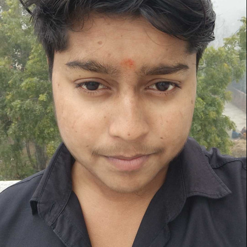 Ansh Rajput C. profile photo