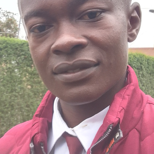 Lewis M. profile photo