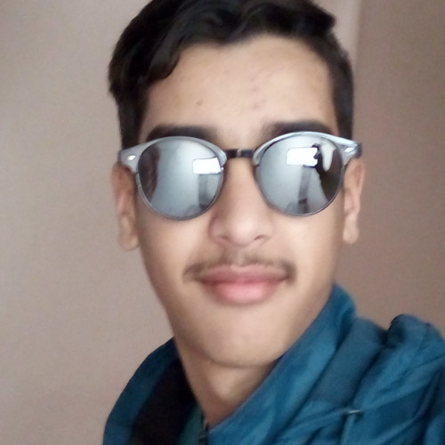 HOUSSAM  L. profile photo