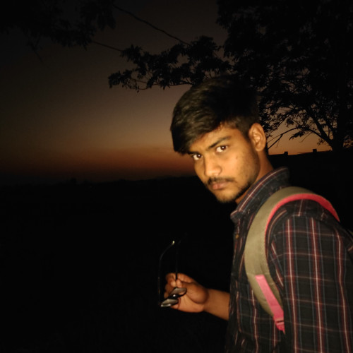 Biswajit P. profile photo