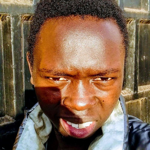 David K. profile photo
