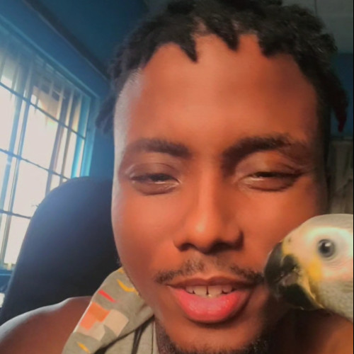 Olisa N. profile photo