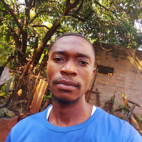 Davies L. profile photo