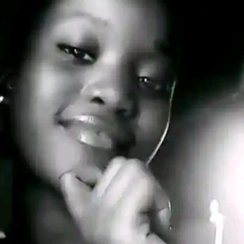 Terfa  N. profile photo