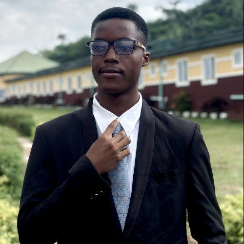 Anjolaoluwa F. profile photo