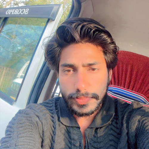 Vicky  Y. profile photo