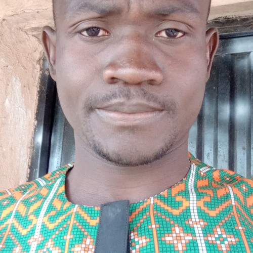 Domshak  D. profile photo