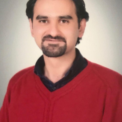 Mojtaba M.