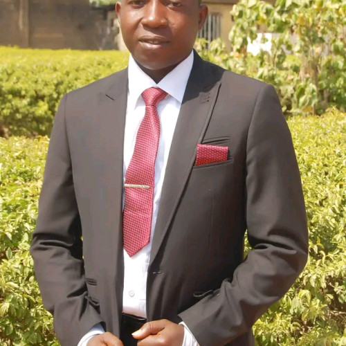 IFEANYICHUKWU KINGSLEY N. profile photo