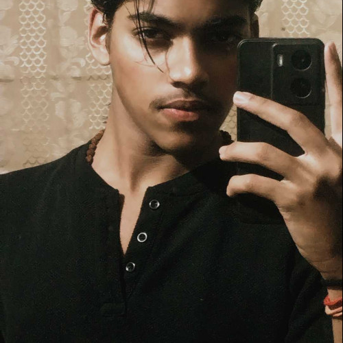 Aarya V. profile photo