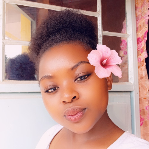 Tryphaena P. profile photo