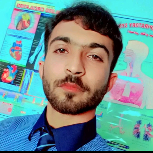Shahbaz  K. profile photo