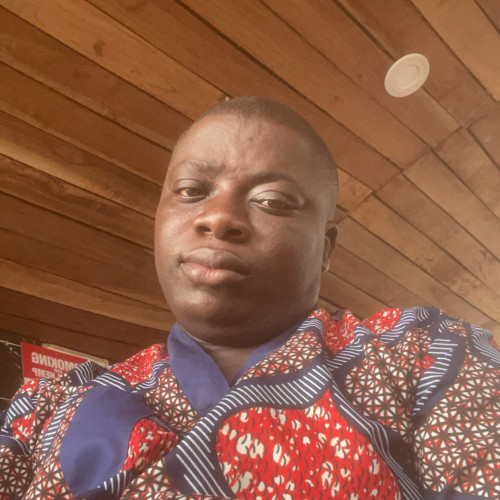 Adeolu A. profile photo