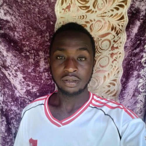 Simon K. profile photo