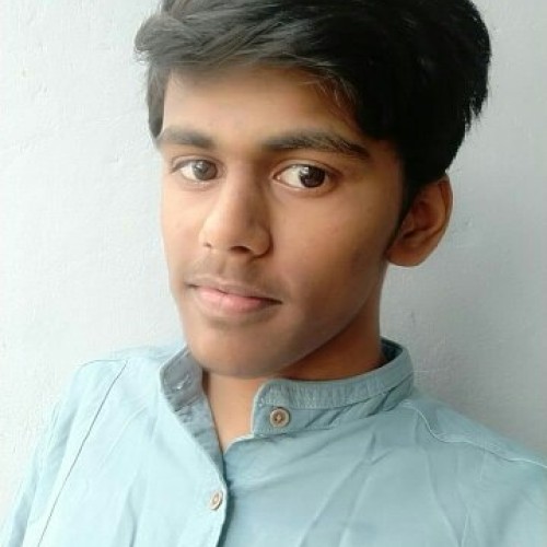 Ravi P.