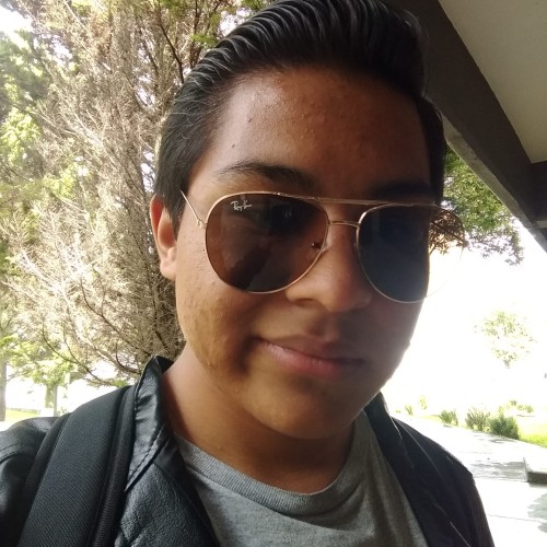 Bruno  P.