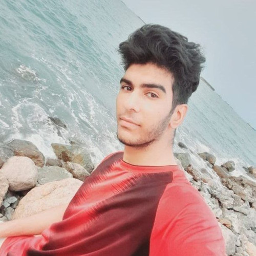 mahdi b. profile photo