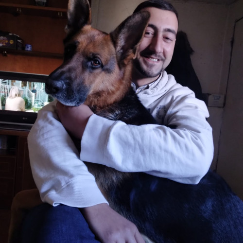 Adrian  N. profile photo