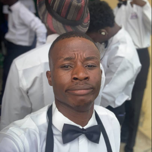 Michael oluwatimileyin  A. profile photo