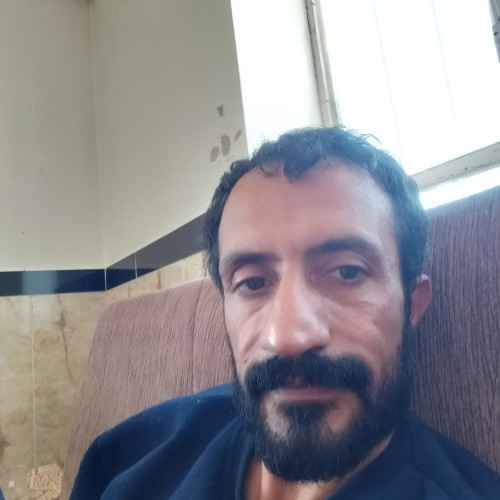 Davod H. profile photo