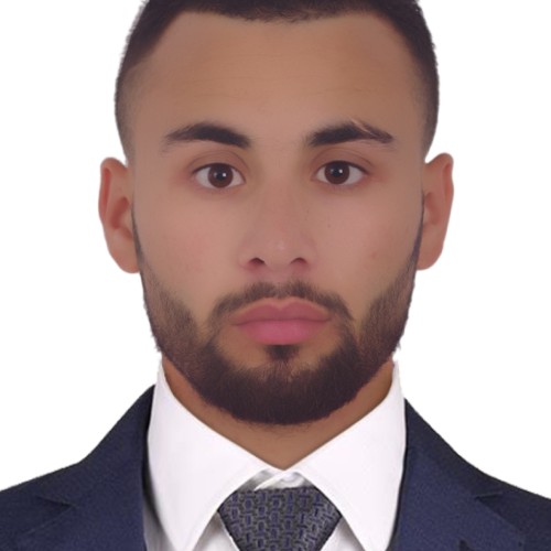 houcine  o. profile photo