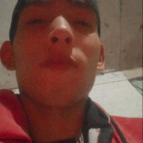 Daniel I. profile photo