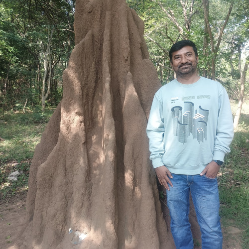 Srinivas R. profile photo