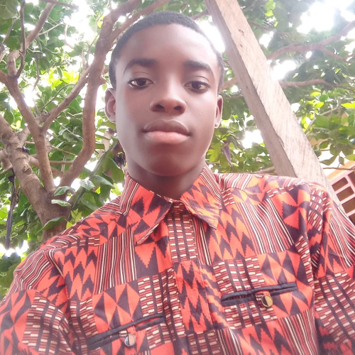 Godwin P. profile photo