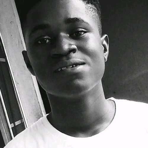 Sevlus M. profile photo