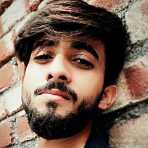 Avi T. profile photo