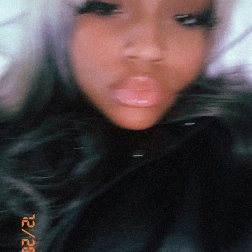 Kashh M. profile photo
