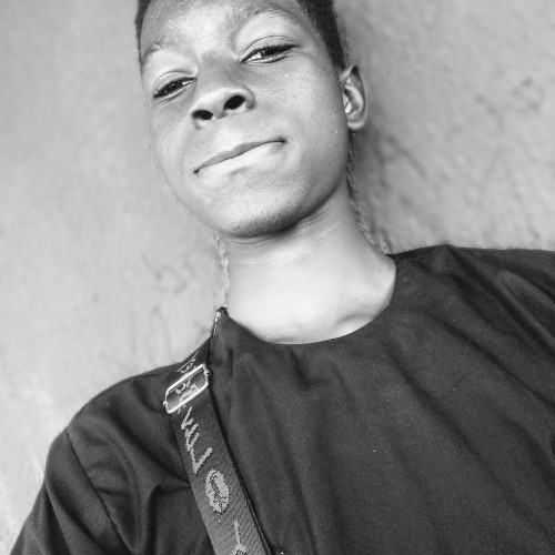 Sadiku  I. profile photo