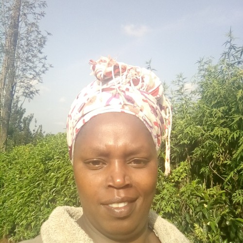 Virginia N. profile photo