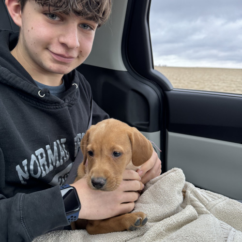 Connor Z. profile photo