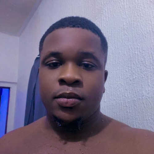 Vincent  N. profile photo