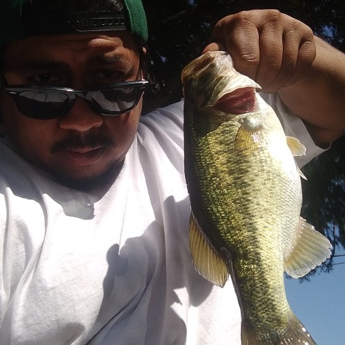 Joshua J. profile photo