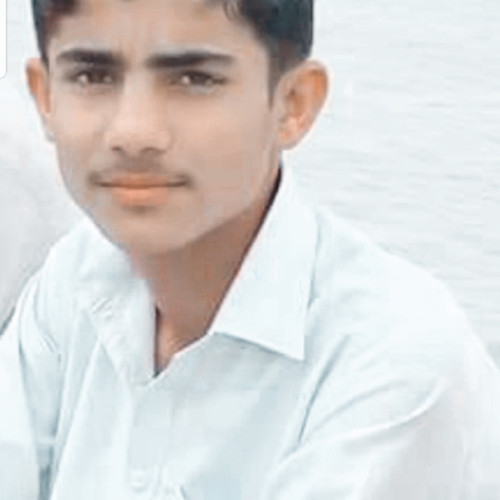 Zishan malik W. profile photo