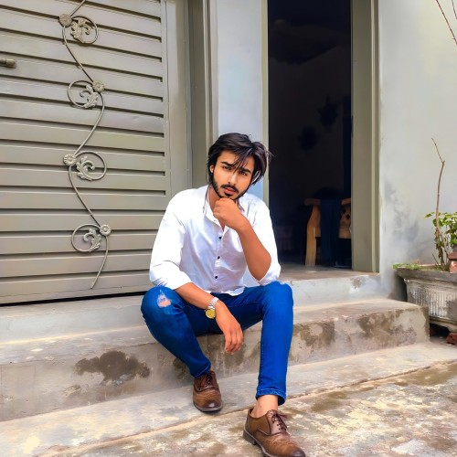 Muhammad Hassaan Feroz M.