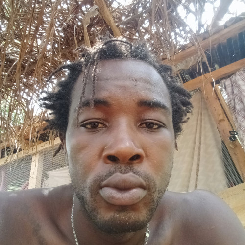 Moses A. profile photo