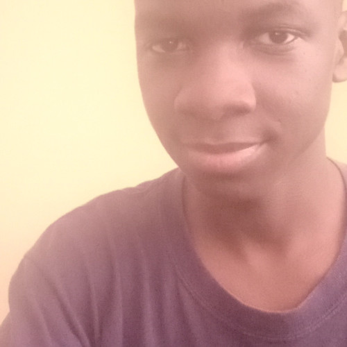 Daniel K. profile photo