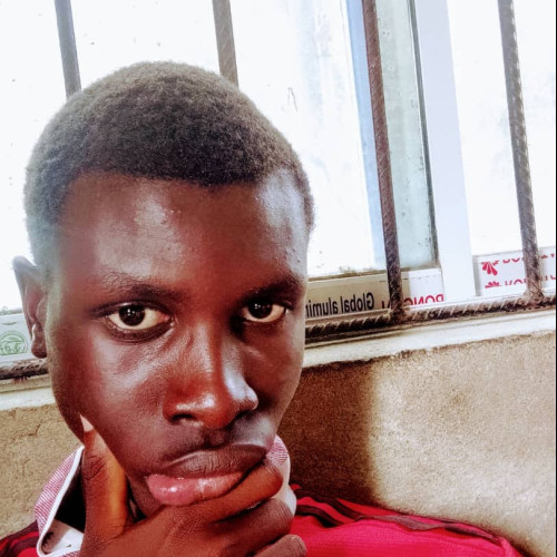 Ebele Inugiansi  N. profile photo