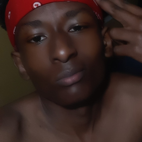 Vincent G. profile photo
