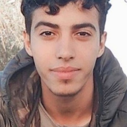 Mouhamad  S. profile photo