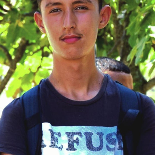 Mehdi A. profile photo