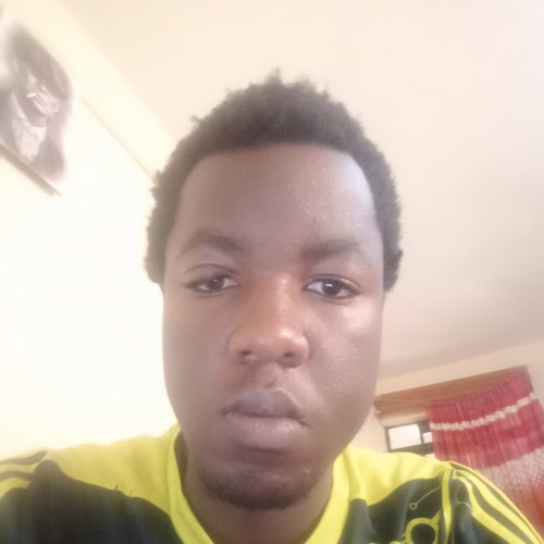 George n. profile photo
